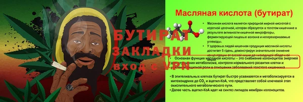 гидра Бородино