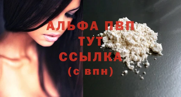 индика Волоколамск