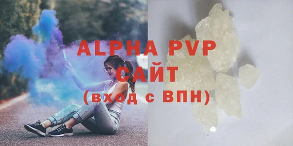 индика Волоколамск