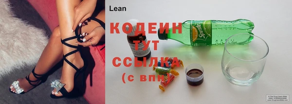 индика Волоколамск