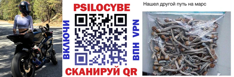 Галлюциногенные грибы мицелий Западная Двина